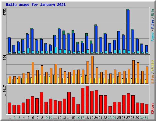 Daily usage for January 2021