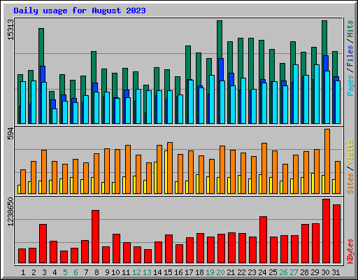 Daily usage for August 2023