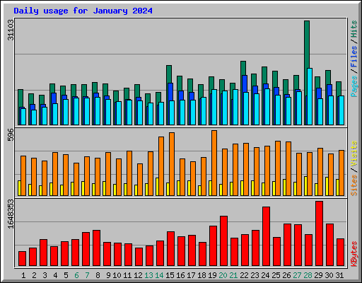 Daily usage for January 2024