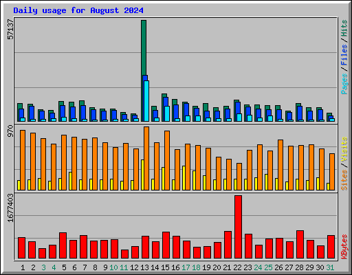 Daily usage for August 2024