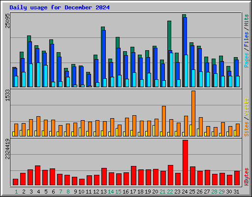 Daily usage for December 2024