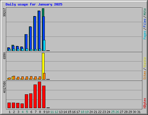 Daily usage for January 2025