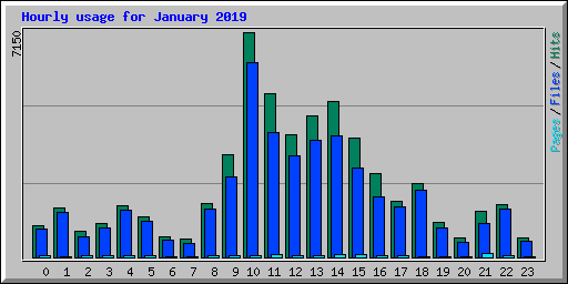 Hourly usage for January 2019