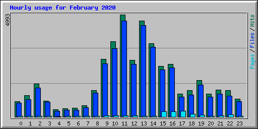 Hourly usage for February 2020