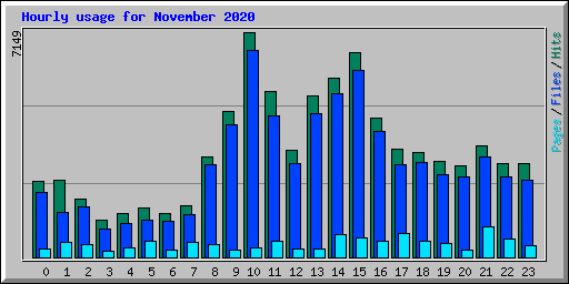 Hourly usage for November 2020