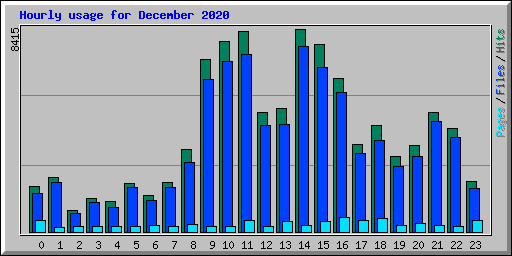 Hourly usage for December 2020