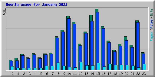 Hourly usage for January 2021