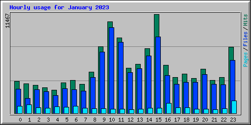 Hourly usage for January 2023