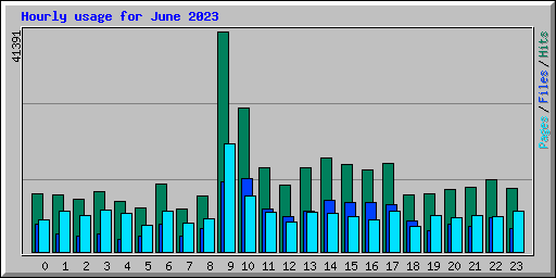 Hourly usage for June 2023