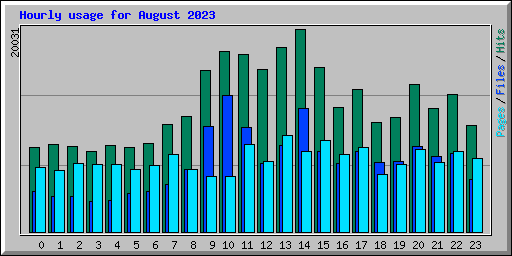 Hourly usage for August 2023