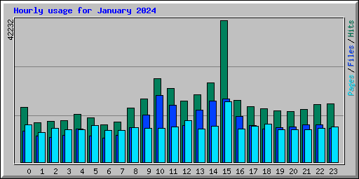 Hourly usage for January 2024