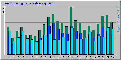 Hourly usage for February 2024