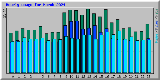 Hourly usage for March 2024