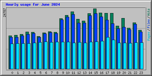 Hourly usage for June 2024