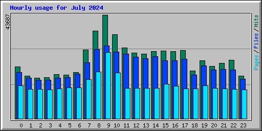 Hourly usage for July 2024