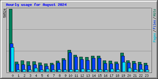 Hourly usage for August 2024