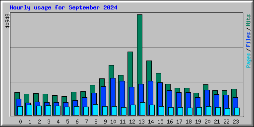 Hourly usage for September 2024