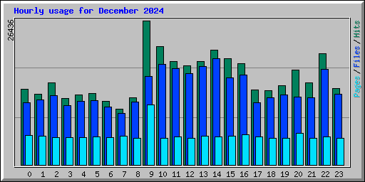 Hourly usage for December 2024