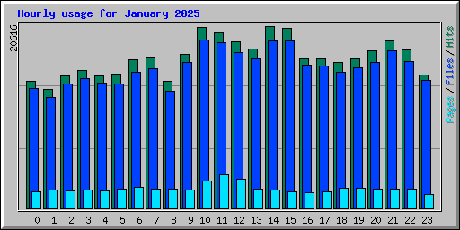 Hourly usage for January 2025